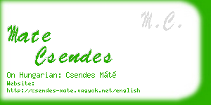 mate csendes business card